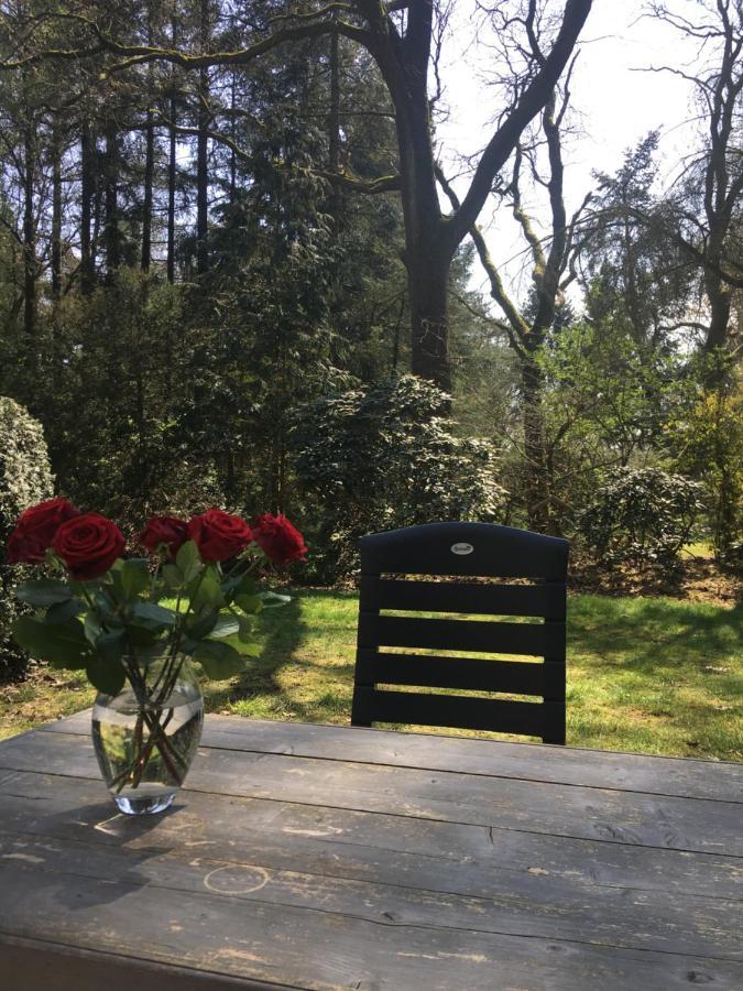 Geschakelde Bungalow Op De Veluwe "De Eekhoorn" 欧特罗 外观 照片