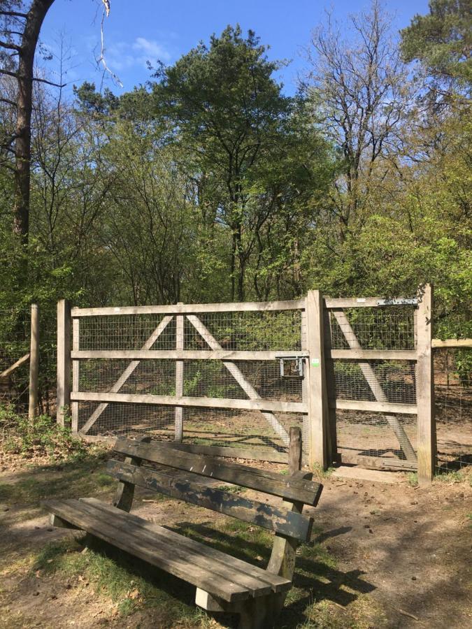 Geschakelde Bungalow Op De Veluwe "De Eekhoorn" 欧特罗 外观 照片
